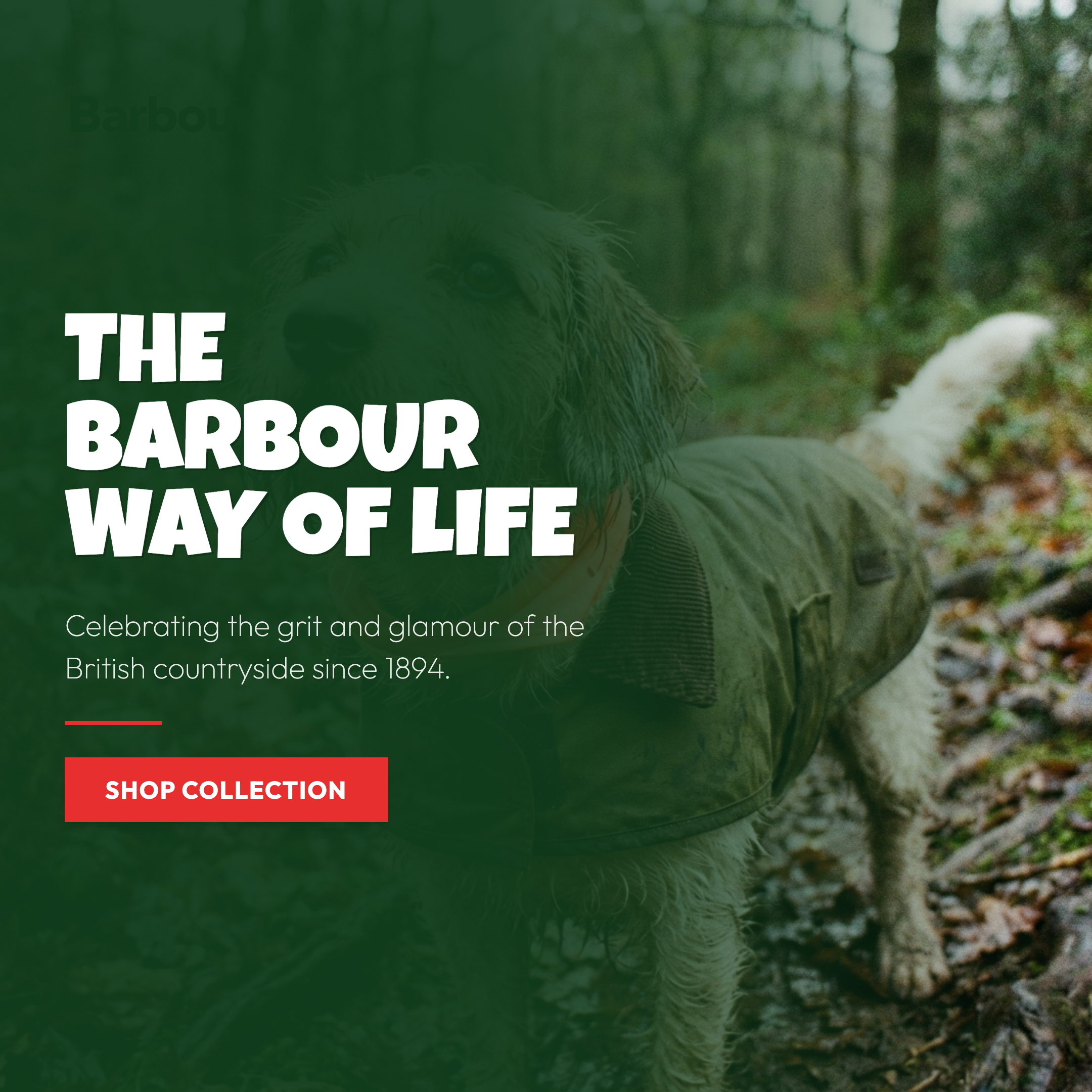 Story ad — heritage lifestyle merk